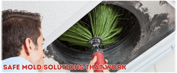 Air Duct Mold Removal in Surprise AZ