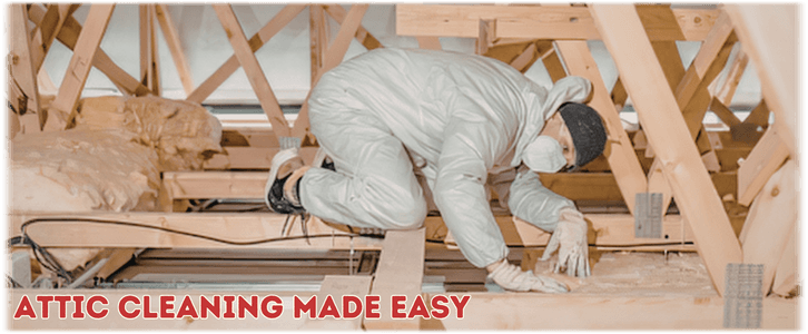 Attic Cleaning Surprise AZ